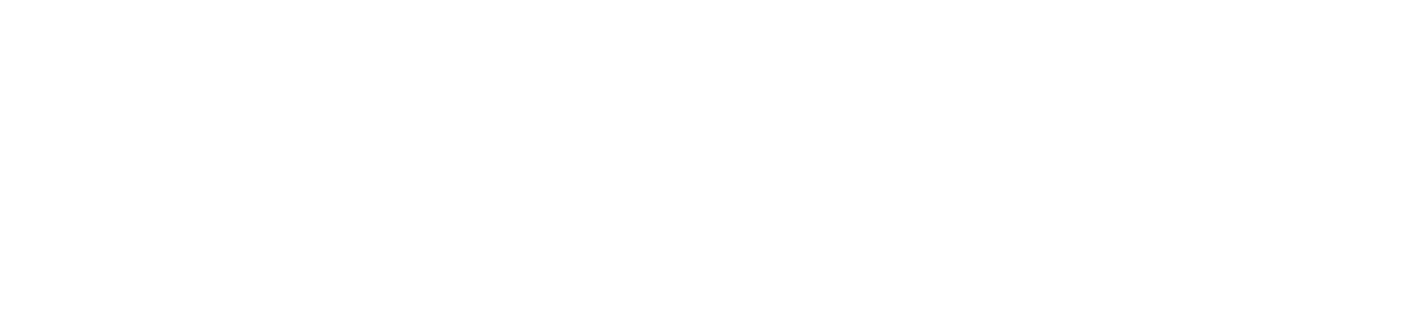 magistor