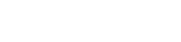 wizishop