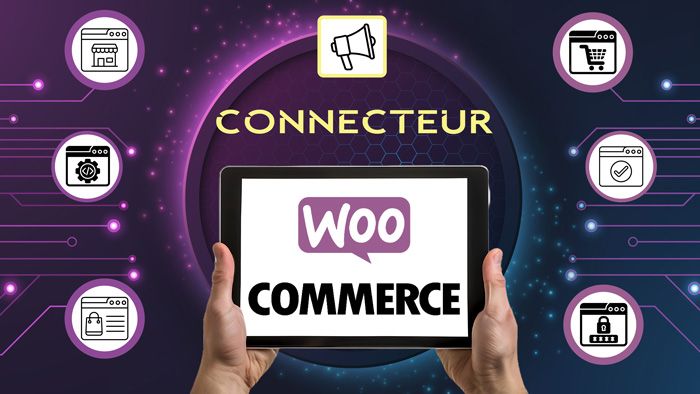 Vous êtes logisticien et devez connecter votre WMS à WOOCOMMERCE ?